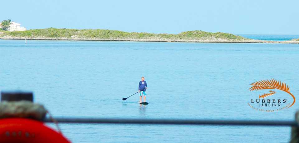 Paddle Boarding in Abaco Bahamas at Lubbers' Landing.